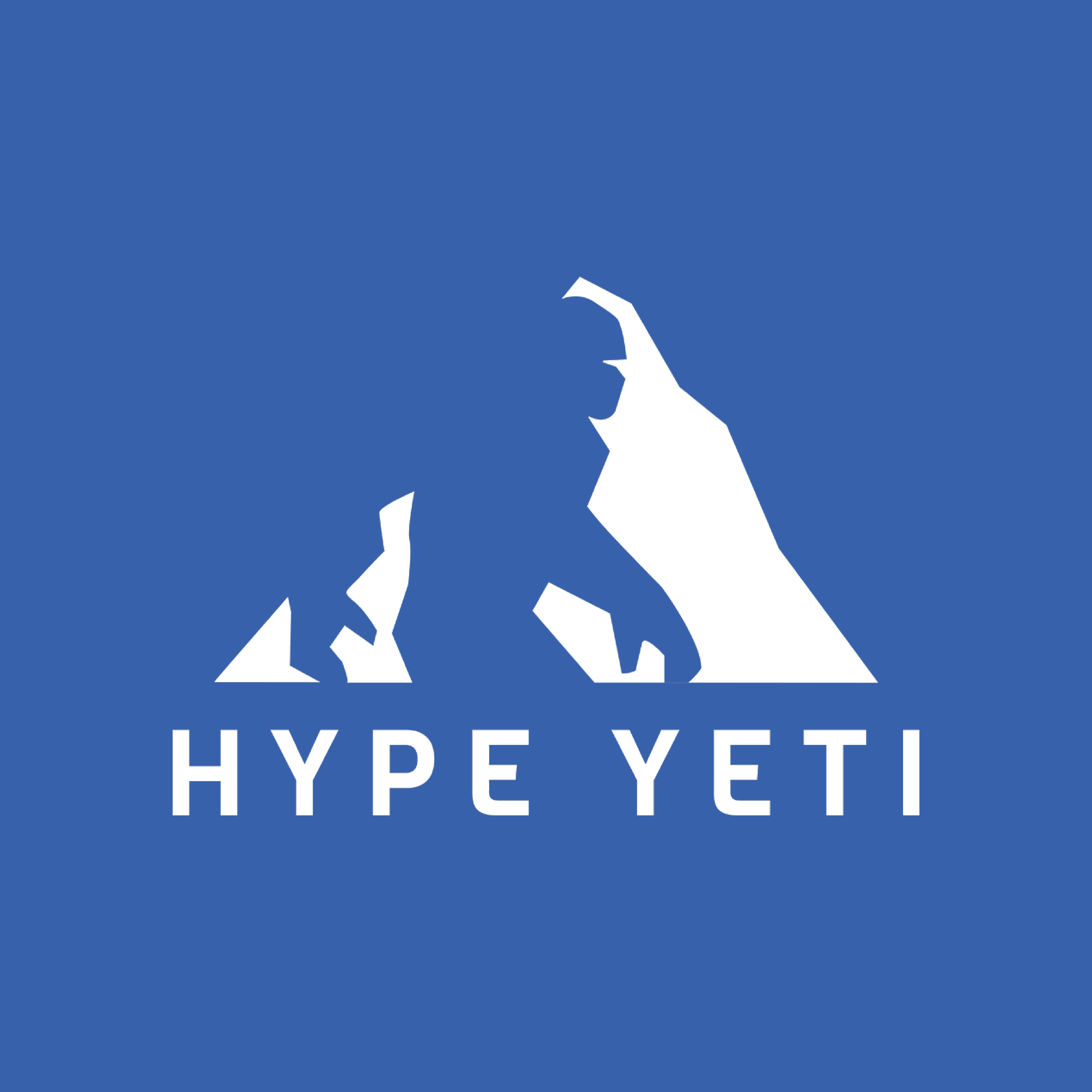 Hypeyeti Marketing Pvt. Ltd.